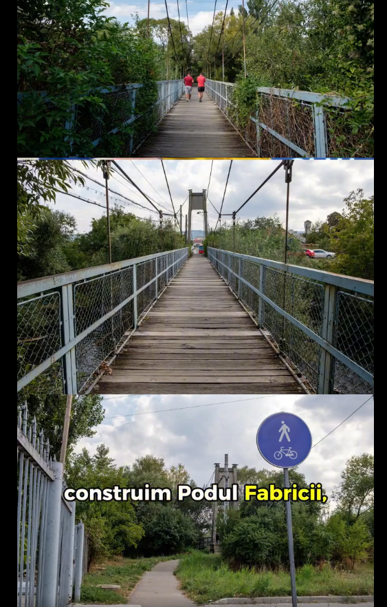 pod cluj